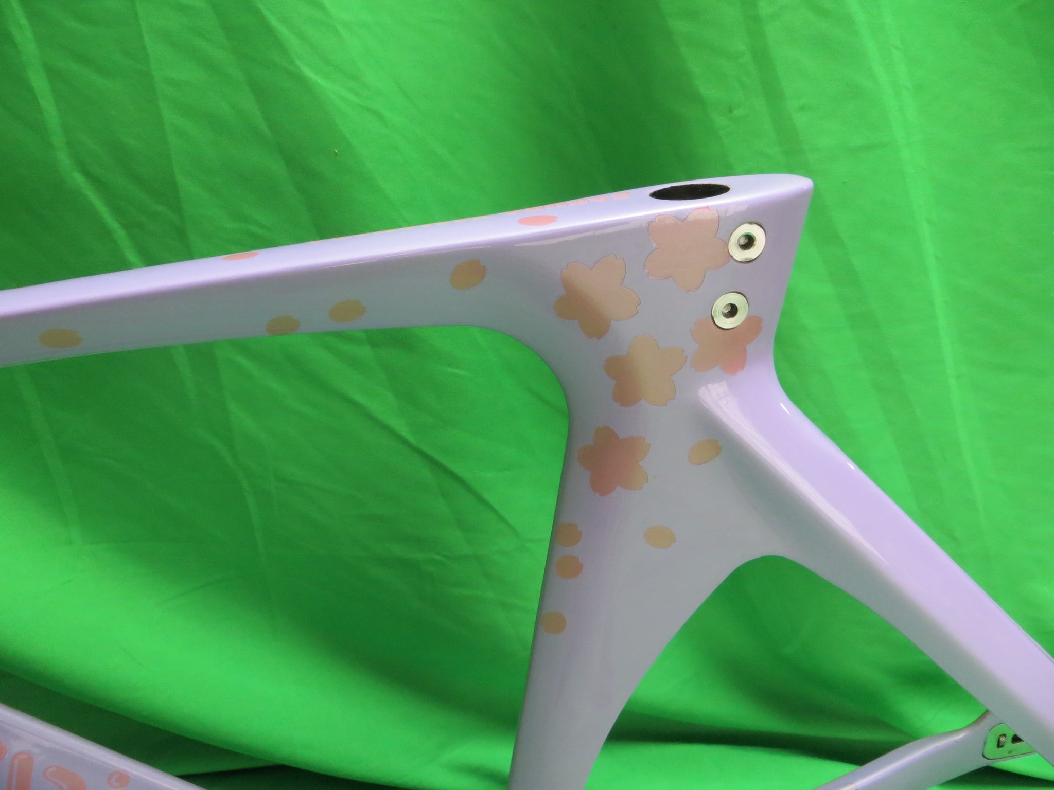 BOTANICAL RINKSページ Lungarno - Botanicals 3