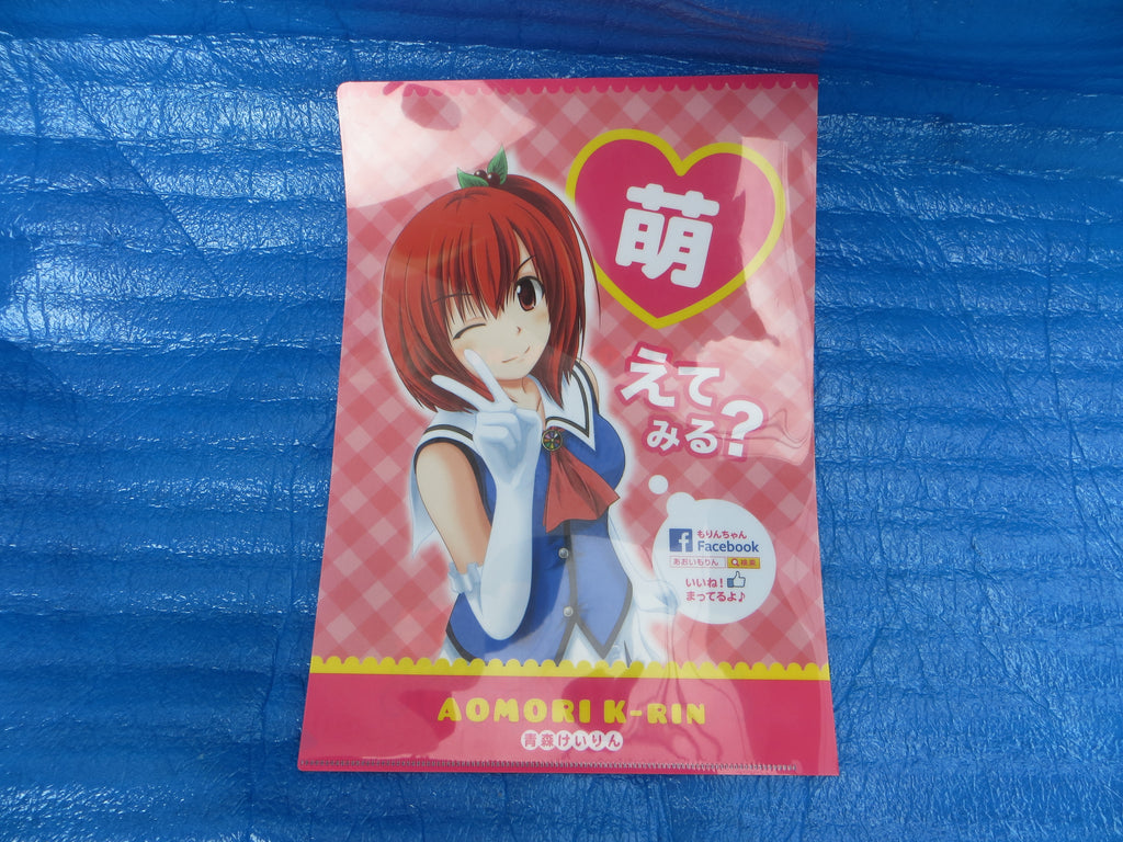 Moe Moe! Rare! Aomori Keirin Yuruchara AOI MORIN Document Holder  /25081301