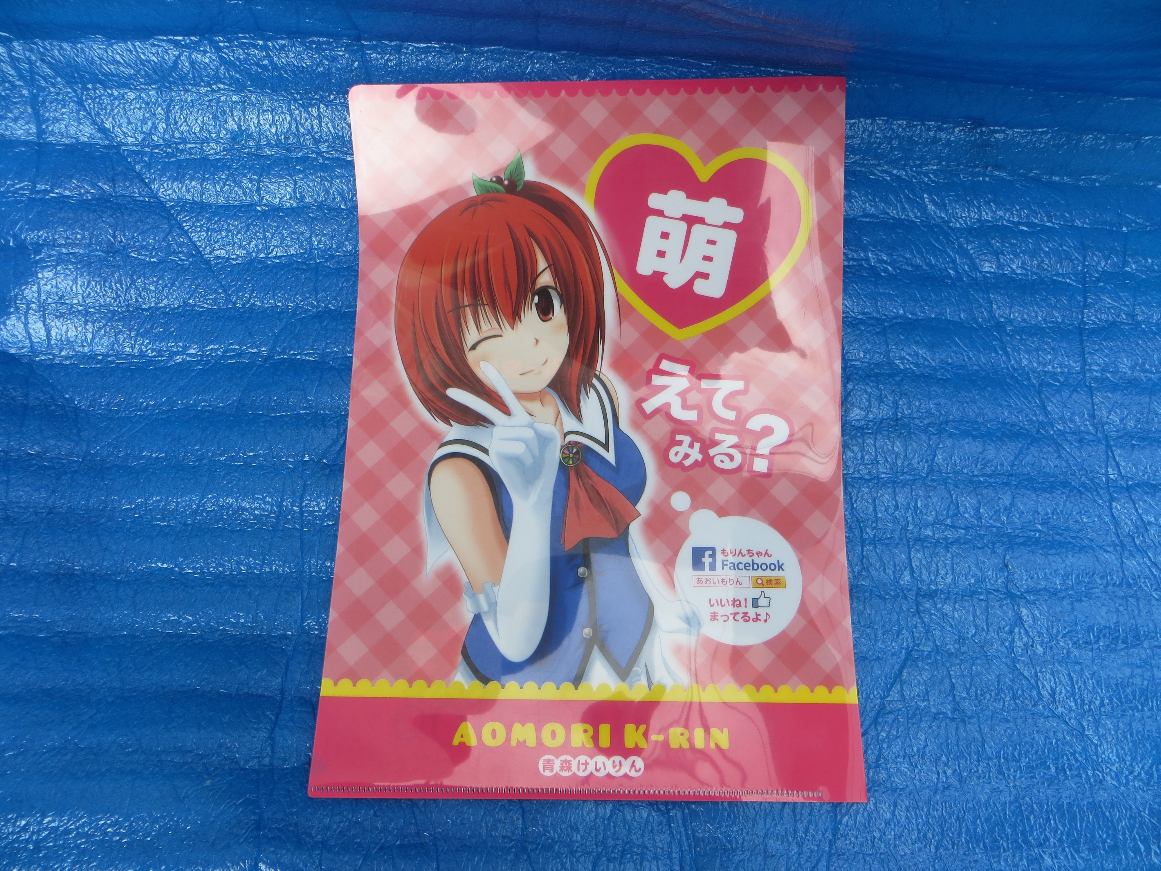 Moe Moe! Rare! Aomori Keirin Yuruchara AOI MORIN Document Holder  /25081301