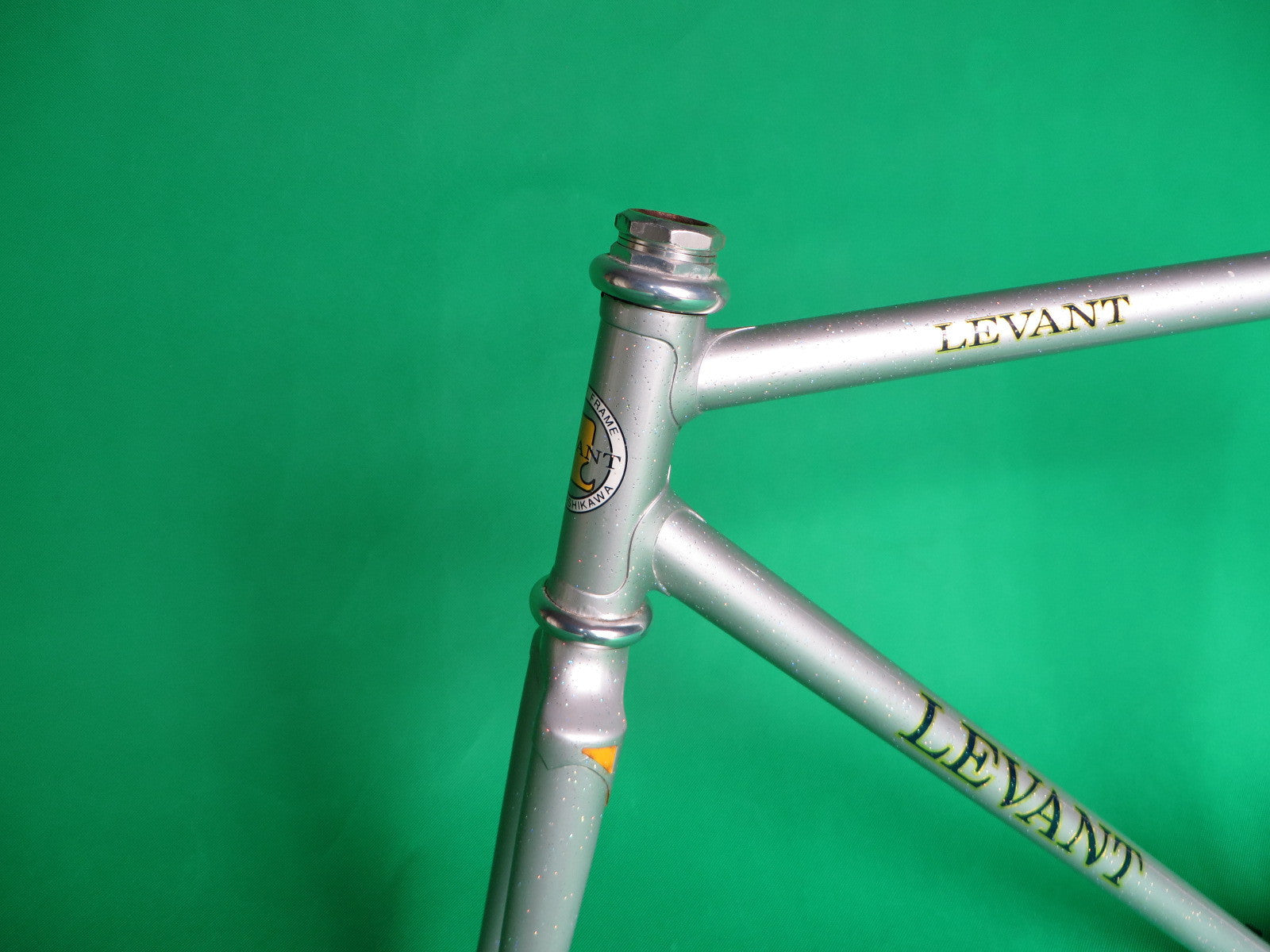 専用① Levant njs frame ピスト NJS ピストフレーム LEVANT NO SHIFT シングルフリー カスタム