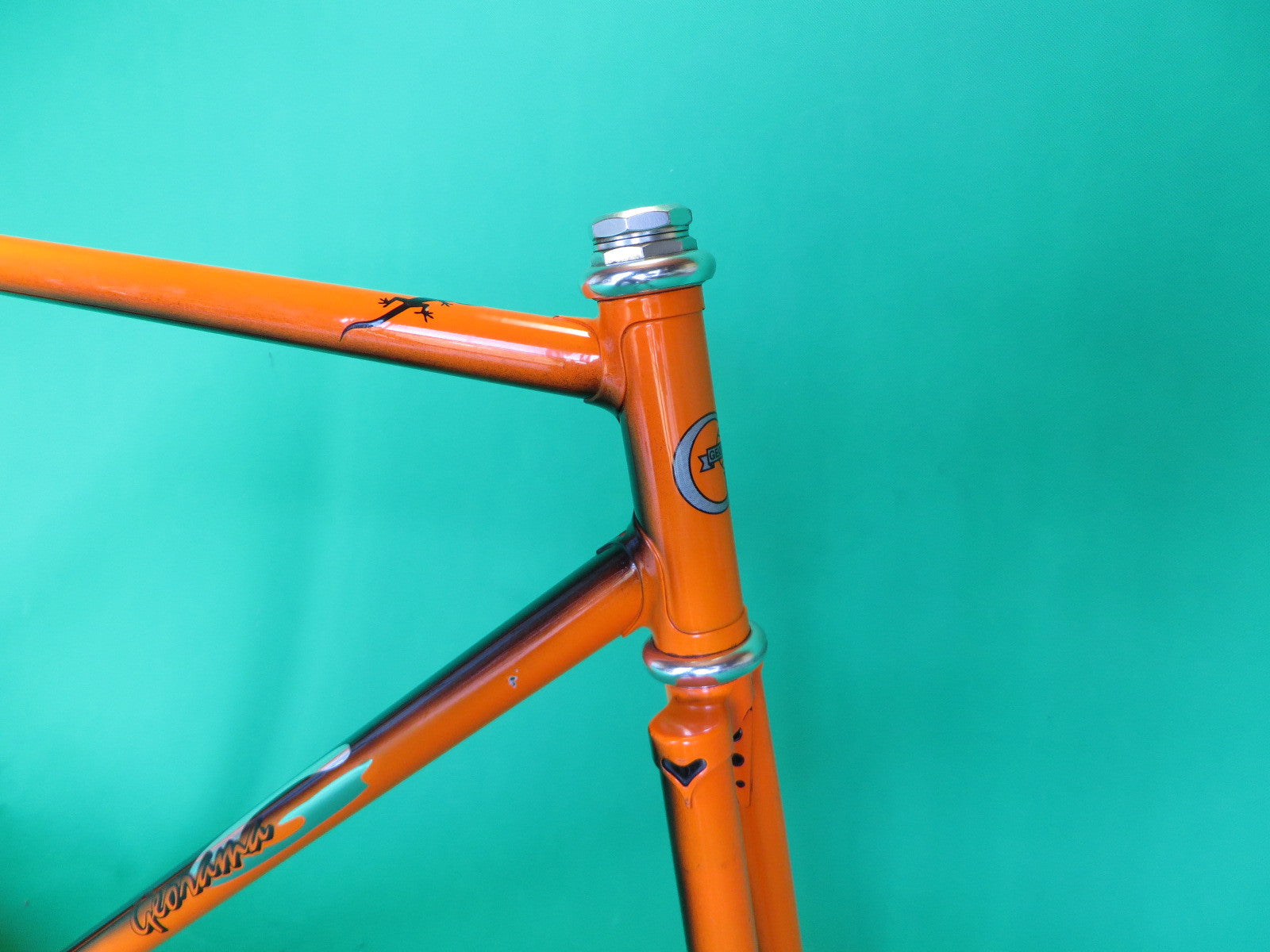 GEORAMA | black/orange fade | 52cm – NJS EXPORT