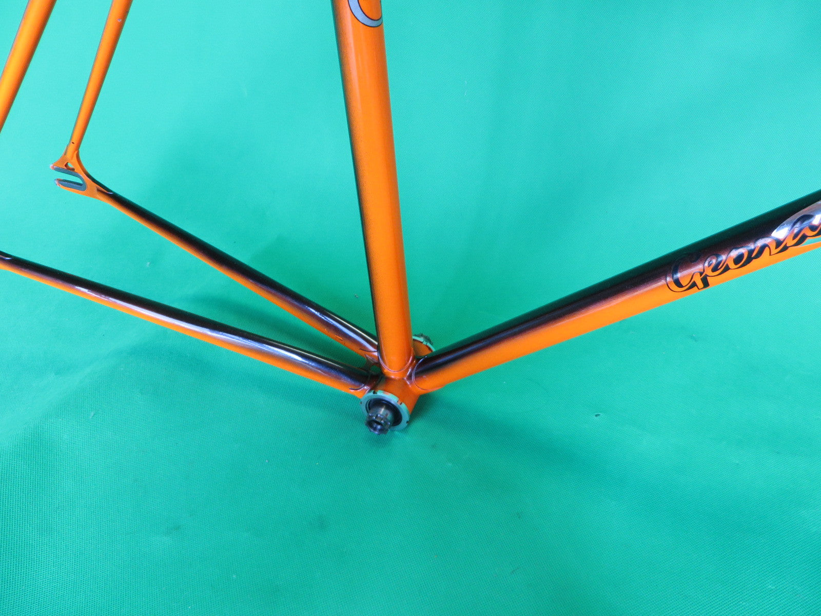 GEORAMA | black/orange fade | 52cm – NJS EXPORT