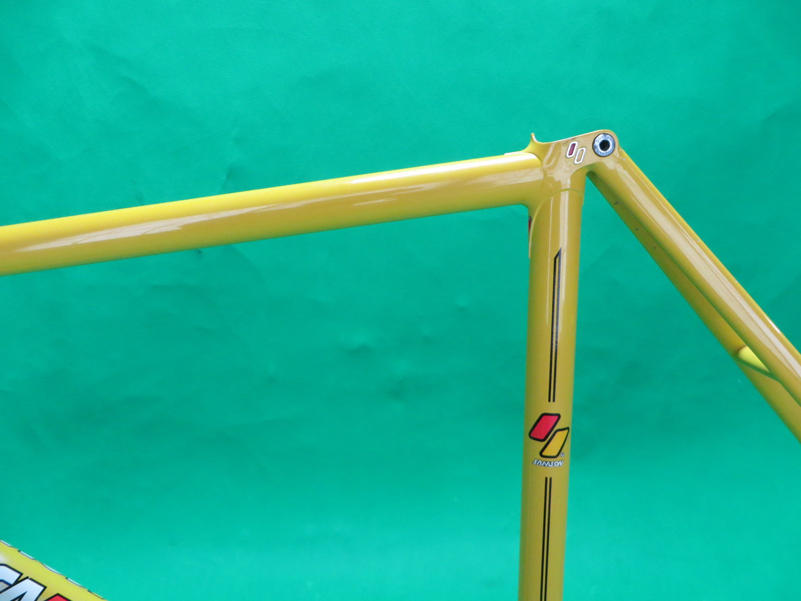 SAMSON Illusion // Yellow / Black Two Tone // 50cm – NJS EXPORT